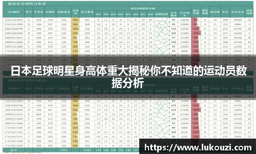 智博19有限公司